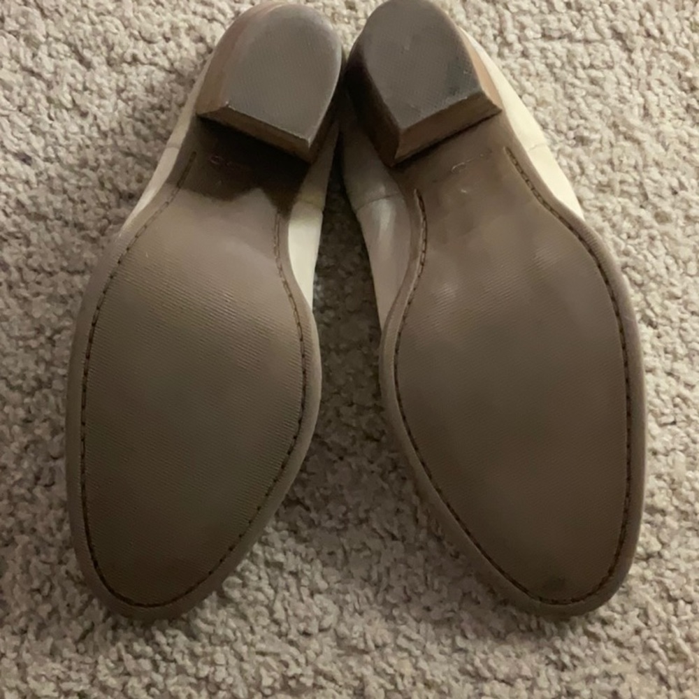Aldo Mules - Picture 9 of 9